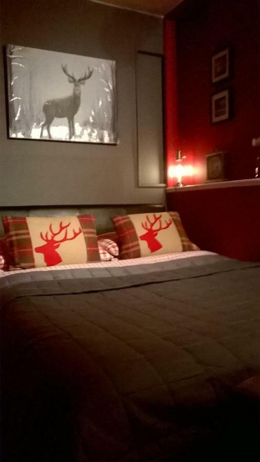 Holly House Bed And Breakfast And Apartments Hereford Exteriér fotografie
