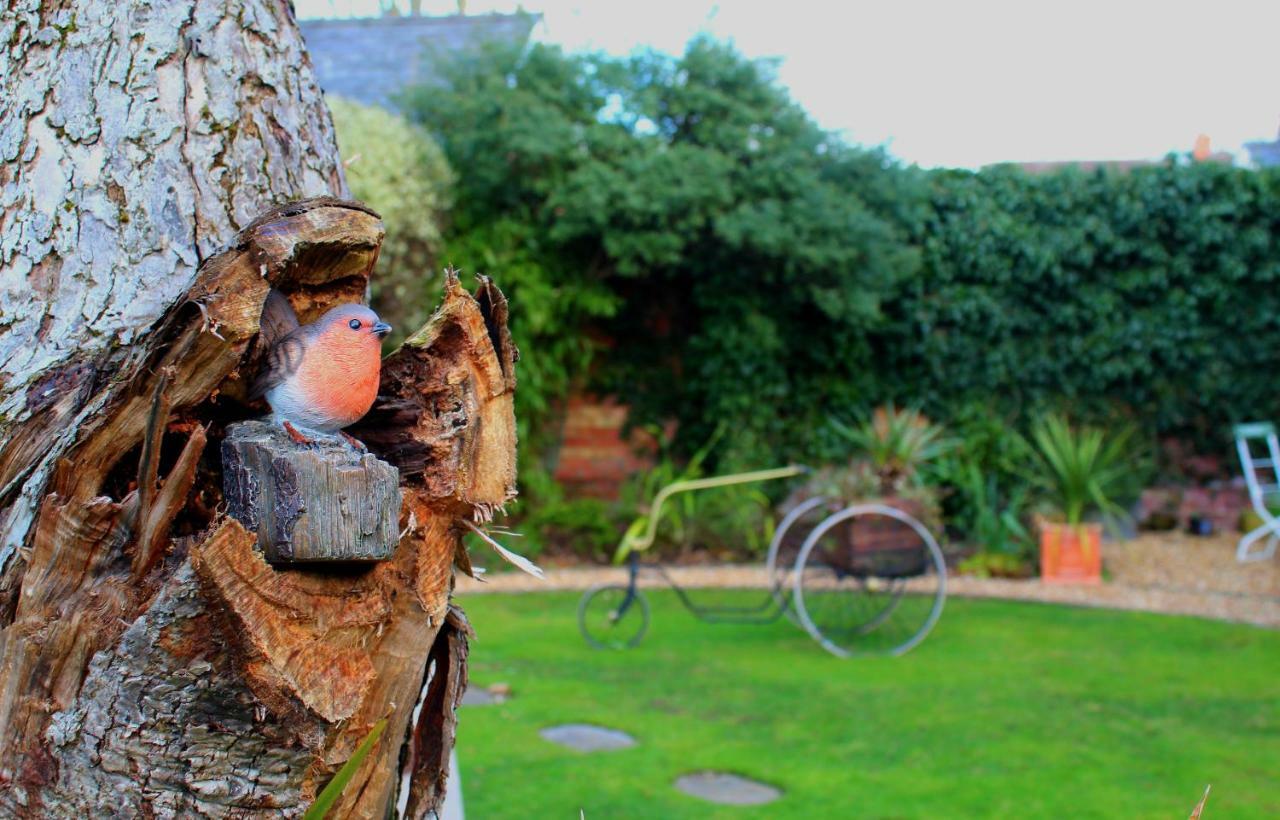 Holly House Bed And Breakfast And Apartments Hereford Exteriér fotografie
