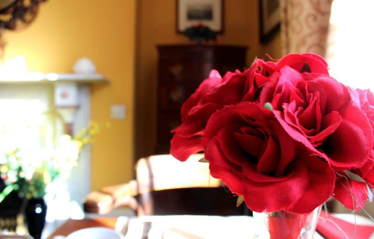Holly House Bed And Breakfast And Apartments Hereford Exteriér fotografie